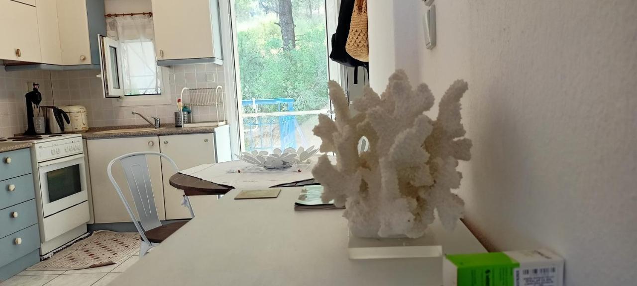 Siviri Sea & Forest-Cozy Apartment With Garden & Nature Views المظهر الخارجي الصورة