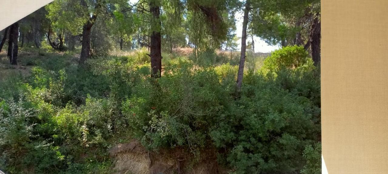 Siviri Sea & Forest-Cozy Apartment With Garden & Nature Views المظهر الخارجي الصورة