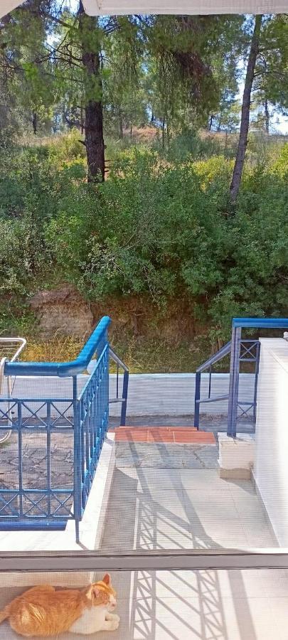 Siviri Sea & Forest-Cozy Apartment With Garden & Nature Views المظهر الخارجي الصورة